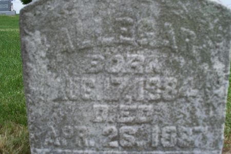 ALLEGAR, GEORGIE - Clinton County, Iowa | GEORGIE ALLEGAR 