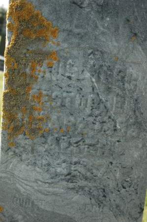 BEECK, CLAUS - Clinton County, Iowa | CLAUS BEECK 