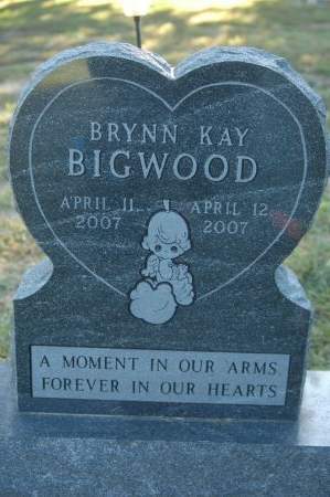 BIGWOOD, BRYNN KAY - Clinton County, Iowa | BRYNN KAY BIGWOOD 