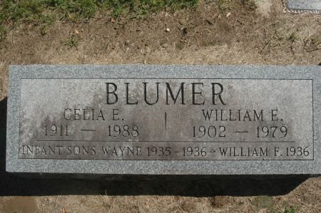 BLUMER, WAYNE - Clinton County, Iowa | WAYNE BLUMER 