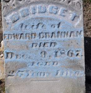 BRANNAN, BRIDGET - Clinton County, Iowa | BRIDGET BRANNAN 