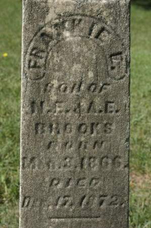 BROOKS, FRANKIE L. - Clinton County, Iowa | FRANKIE L. BROOKS 