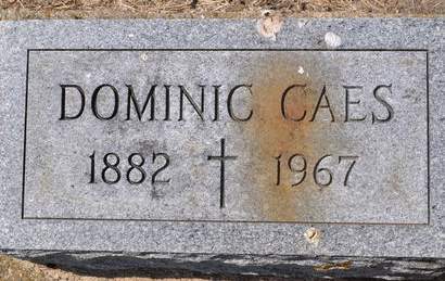 CAES, DOMINIC - Clinton County, Iowa | DOMINIC CAES 
