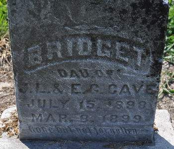 CAVE, BRIDGET - Clinton County, Iowa | BRIDGET CAVE 