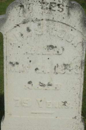 COOK, ARA S. - Clinton County, Iowa | ARA S. COOK 