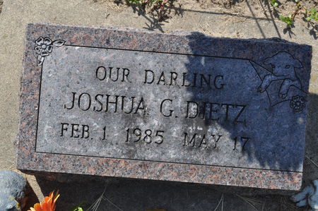 DIETZ, JOSHUA G. - Clinton County, Iowa | JOSHUA G. DIETZ 