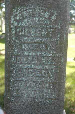 GILBERT, WATSON H. - Clinton County, Iowa | WATSON H. GILBERT 