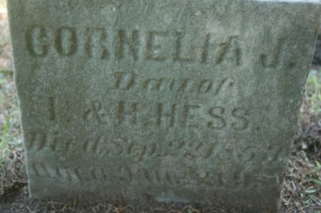 HESS, CORNELIA J. - Clinton County, Iowa | CORNELIA J. HESS 