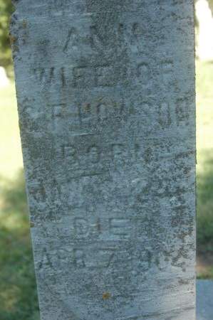 HOWSON, ANN - Clinton County, Iowa | ANN HOWSON 