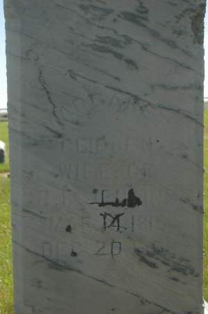 JENKINS, MARGARET - Clinton County, Iowa | MARGARET JENKINS 