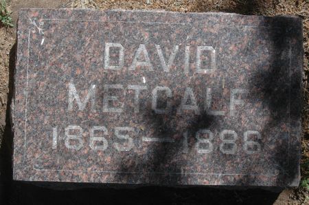 METCALF, DAVID - Clinton County, Iowa | DAVID METCALF 