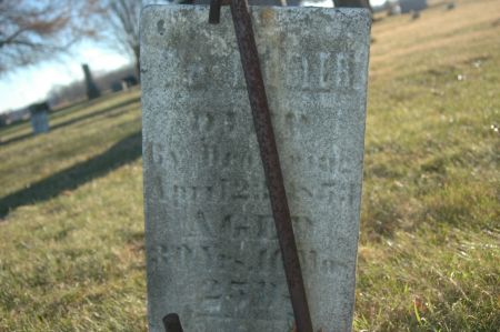 MUELLER, WILLIAM - Clinton County, Iowa | WILLIAM MUELLER 