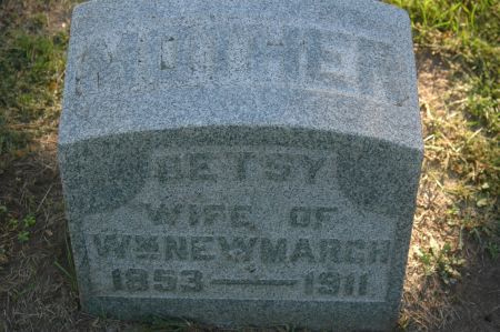 NEWMARCH, BETSY - Clinton County, Iowa | BETSY NEWMARCH 