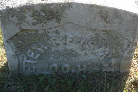 REISINGER, PETER - Clinton County, Iowa | PETER REISINGER 