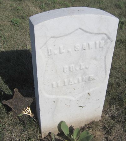 SAWIN, D. L. - Clinton County, Iowa | D. L. SAWIN 