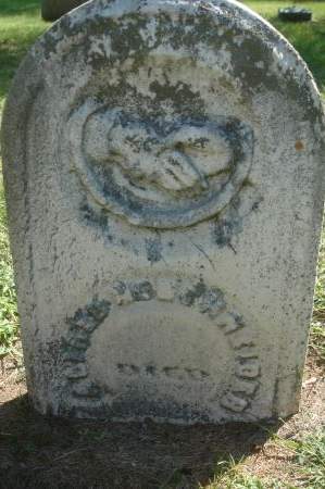 SCHNEIDER, ALFRED N. - Clinton County, Iowa | ALFRED N. SCHNEIDER 