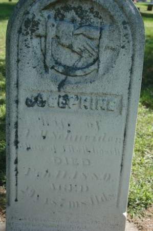 SCHNEIDER, JOSEPHINE - Clinton County, Iowa | JOSEPHINE SCHNEIDER 