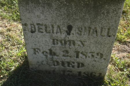 SMALL, ADELIA - Clinton County, Iowa | ADELIA SMALL 