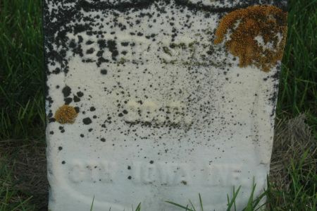 STROHM, PETER - Clinton County, Iowa | PETER STROHM 