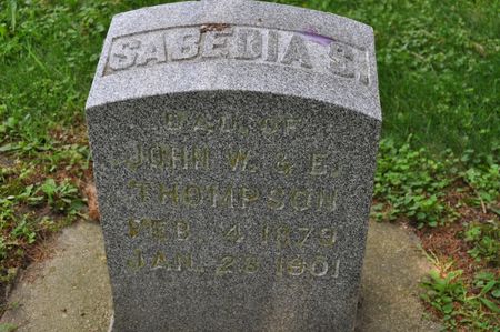 THOMPSON, SABADIA S. - Clinton County, Iowa | SABADIA S. THOMPSON 