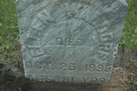 WALDORF, ELLEN - Clinton County, Iowa | ELLEN WALDORF 