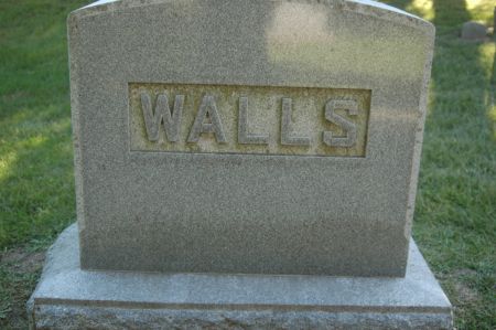 WALLS, FAMILY MONUMENT - Clinton County, Iowa | FAMILY MONUMENT WALLS 