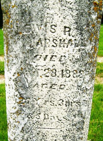 MARSHALL, LEWIS P. - Crawford County, Iowa | LEWIS P. MARSHALL 