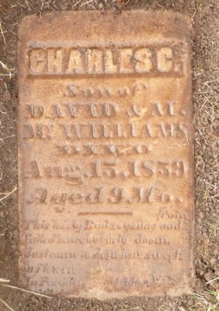 MCWILLIAMS, CHARLES C - Crawford County, Iowa | CHARLES C MCWILLIAMS 