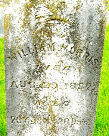 MORRIS, WILLIAM - Crawford County, Iowa | WILLIAM MORRIS 