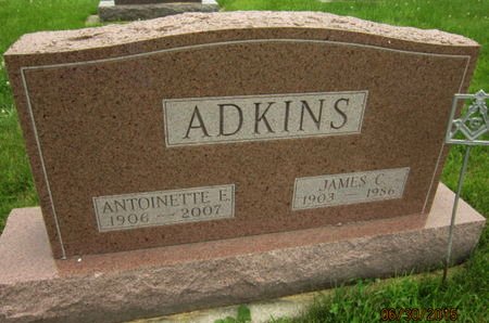 ADKINS, JAMES C - Dallas County, Iowa | JAMES C ADKINS 