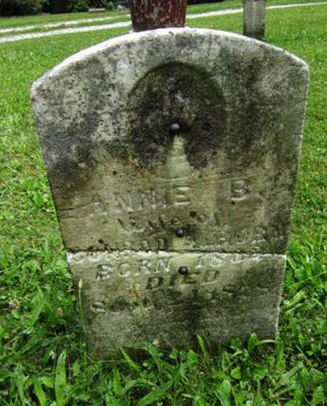 ALBORN, ANNIE B - Dallas County, Iowa | ANNIE B ALBORN 