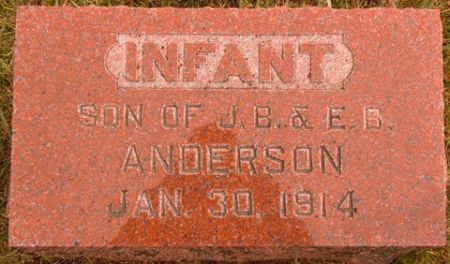 ANDERSON, INFANT - Dallas County, Iowa | INFANT ANDERSON 