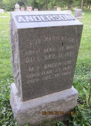 ANDERSON, M E - Dallas County, Iowa | M E ANDERSON 