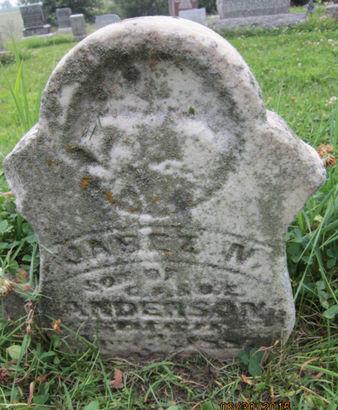 ANDERSON, JABEZ N - Dallas County, Iowa | JABEZ N ANDERSON 