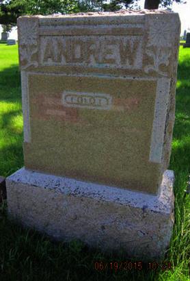 ANDREW, FAMILY STONE - Dallas County, Iowa | FAMILY STONE ANDREW 