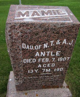 ANTLE, MAMIE - Dallas County, Iowa | MAMIE ANTLE 