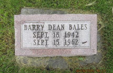 BALES, BARRY DEAN - Dallas County, Iowa | BARRY DEAN BALES 