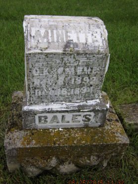 BALES, MINETTE - Dallas County, Iowa | MINETTE BALES 