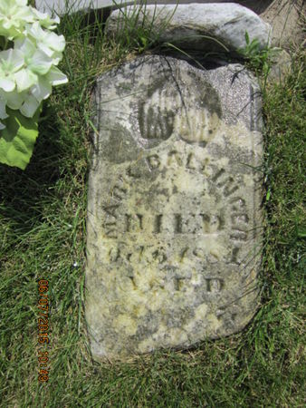 BALLINGER, MARK - Dallas County, Iowa | MARK BALLINGER 