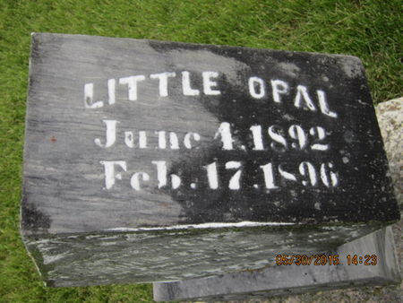 BANDY, OPAL - Dallas County, Iowa | OPAL BANDY 