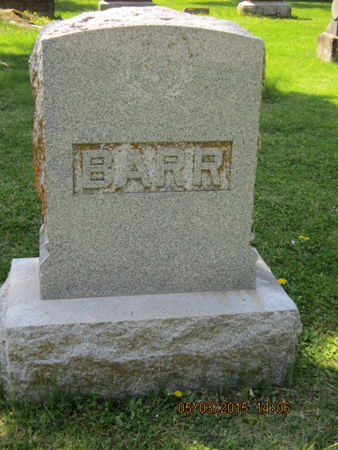 BARR, FAMILY STONE - Dallas County, Iowa | FAMILY STONE BARR 