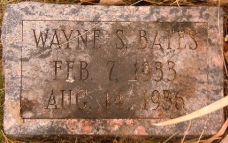 BATES, WAYNE S. - Dallas County, Iowa | WAYNE S. BATES 