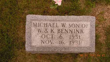 BENNINK, MICHAEL W - Dallas County, Iowa | MICHAEL W BENNINK 