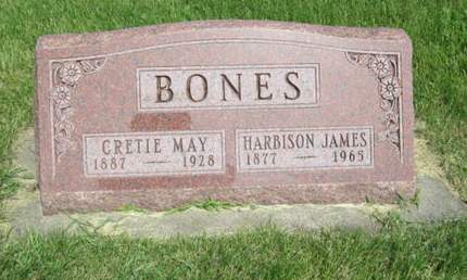 BONES, HARBISON JAMES - Dallas County, Iowa | HARBISON JAMES BONES 