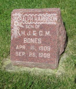 BONES, RALPH HARBISON - Dallas County, Iowa | RALPH HARBISON BONES 