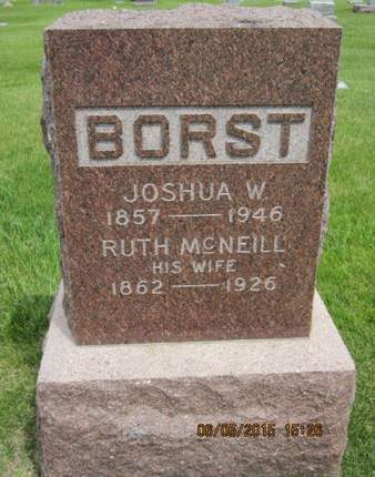 BORST, JOSHUA W - Dallas County, Iowa | JOSHUA W BORST 