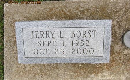 BORST, JERRY L - Dallas County, Iowa | JERRY L BORST 