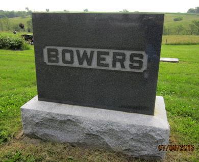 BOWERS, FAMILY STONE - Dallas County, Iowa | FAMILY STONE BOWERS 