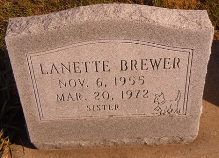BREWER, LANETTE - Dallas County, Iowa | LANETTE BREWER 