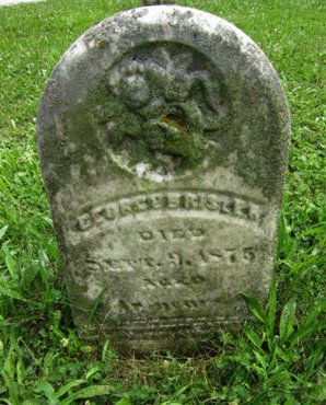 BRISSLER, GEORGE - Dallas County, Iowa | GEORGE BRISSLER 